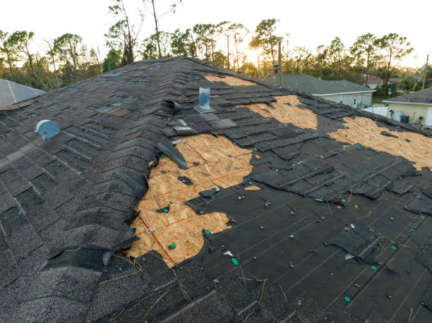 Best Roof Waterproofing  in Carlisle, OH